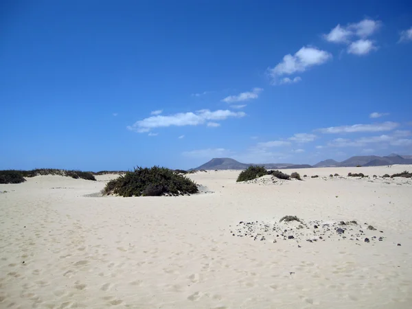 Dune di Corralejo — Foto Stock