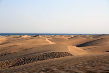 Dunes Of Maspalomas clipart