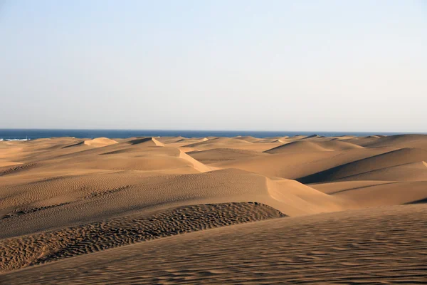 stock image Dunes Of Maspalomas