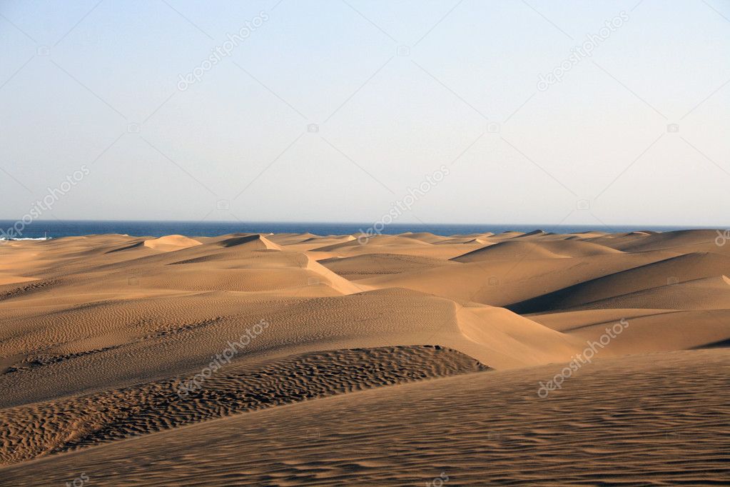 Dunes Of Maspalomas