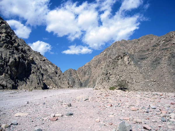 Stock image Stone Desert