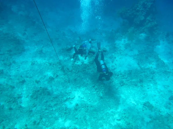 Buceadores en el fondo del mar — Foto de Stock