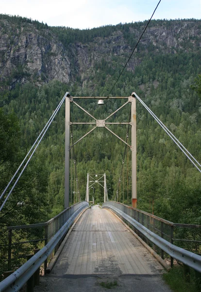 Pont suspendu par câble en bois — Photo