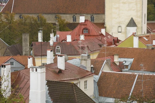 Daken van de oude binnenstad van Tallinn — Stockfoto