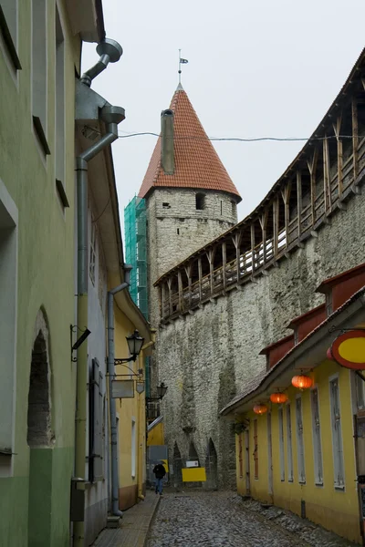 Straße des alten Tallinn — Stockfoto