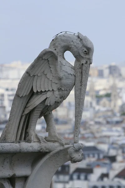 雕像上巴黎圣母院巴黎 — 图库照片