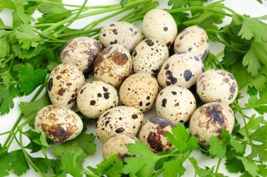 Quail eggs clipart