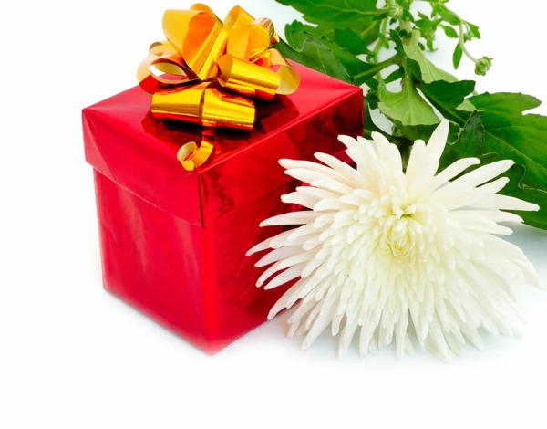 stock image Gift box