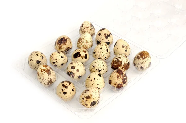 Little eggs — Stock Photo, Image