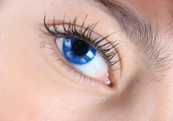 Macro de olho azul — Fotografia de Stock