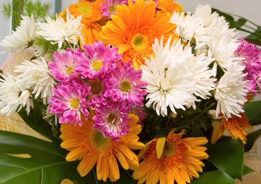 Lillia ve gerbera