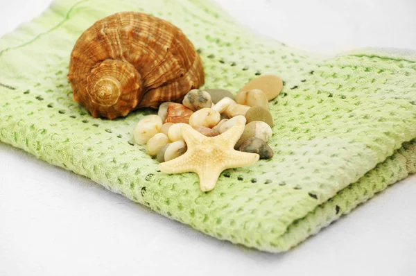 Shell e asciugamano — Foto Stock