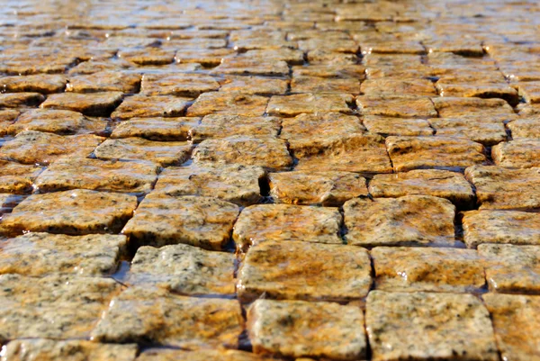 Block pavemen — Stock Photo, Image