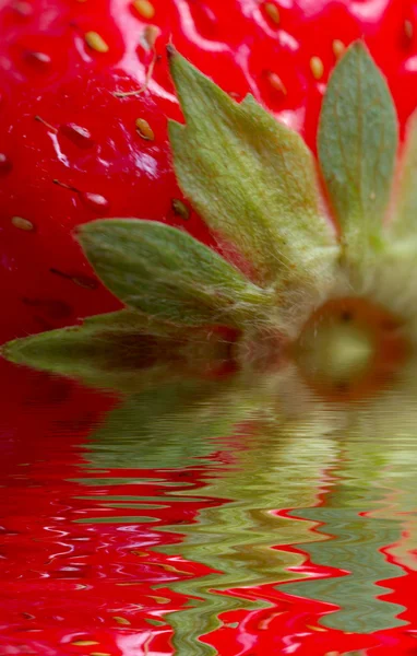 딸기의 매크로 — 스톡 사진