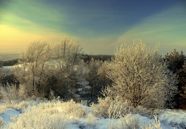 Paesaggio invernale — Foto Stock