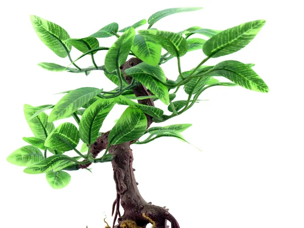 Пластиковое дерево с листьями — стоковое фото