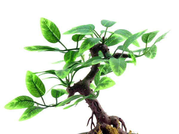 Árbol artificial con hojas —  Fotos de Stock