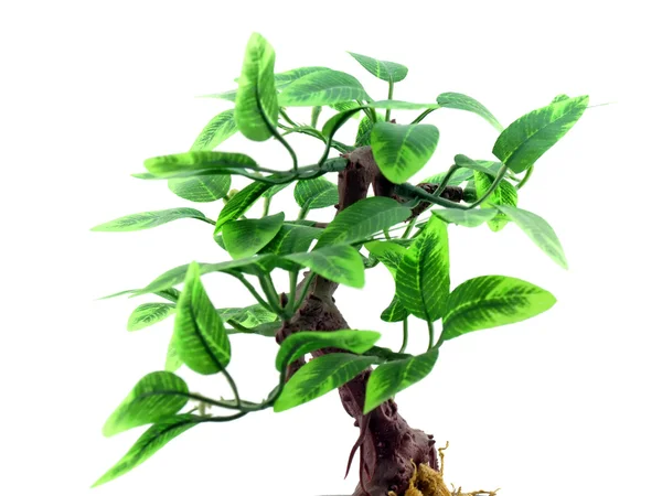Artificial tree — Stock Photo, Image
