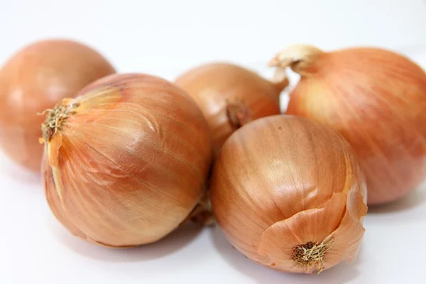 stock image Onion