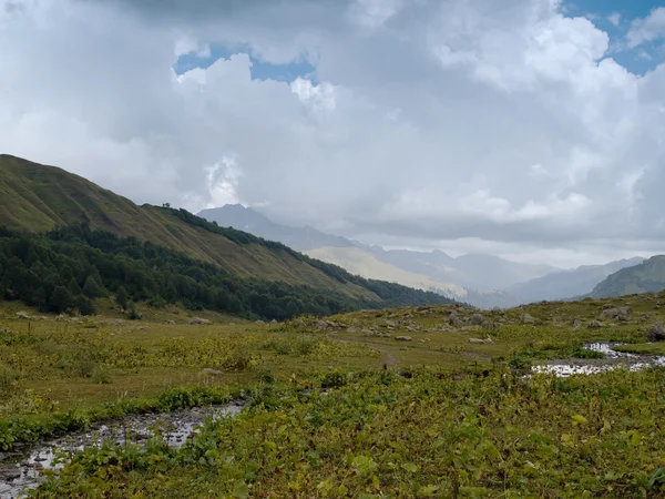 Альпийские луга — стоковое фото