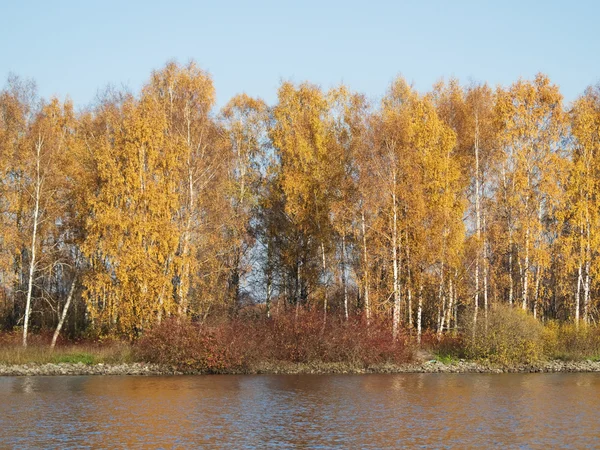 Jesienny krajobraz — Zdjęcie stockowe