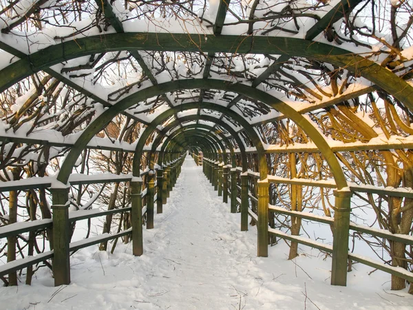 Winter Moskou gebied — Stockfoto