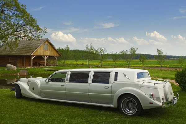 Light limousine in the meadow — Stock Photo, Image