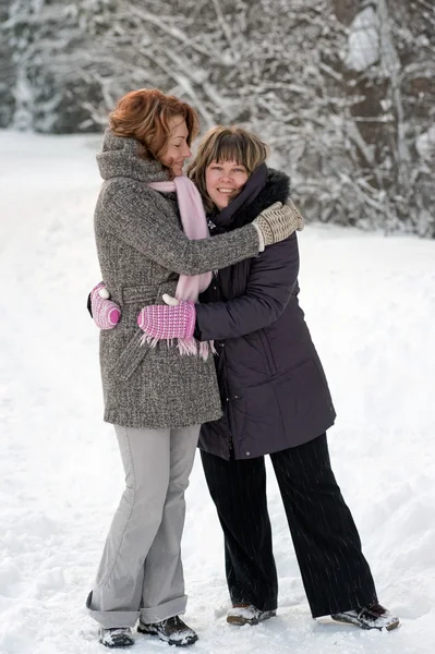 Friendship in winter — Stock Photo, Image