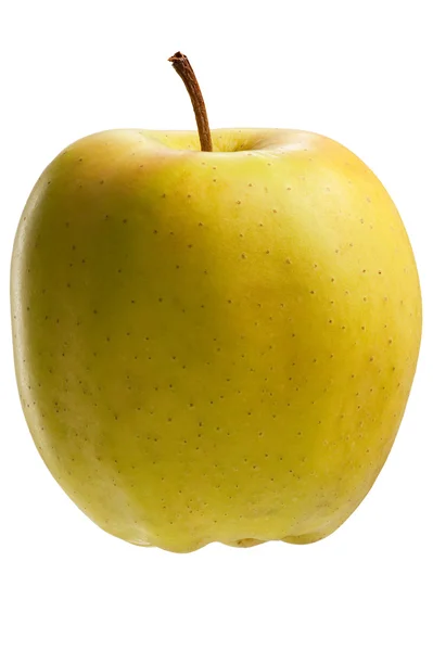 Stock image Yellow apple