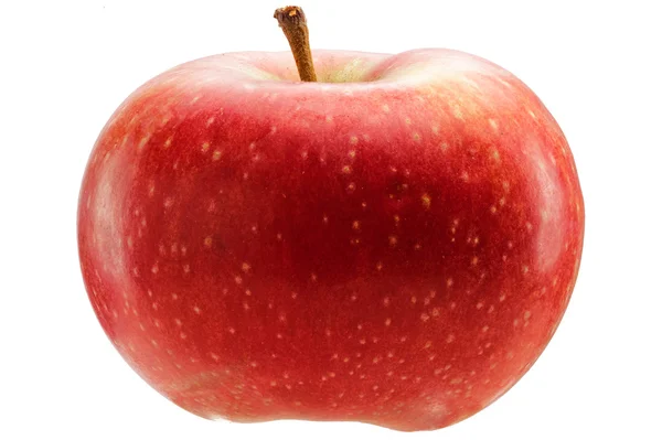 Stock image Red apple