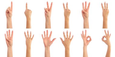 Female hands counting clipart