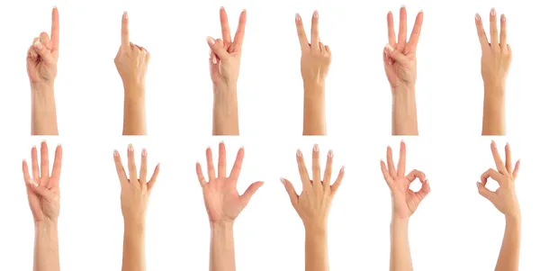 Подсчет женских рук — стоковое фото
