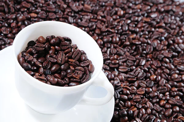 Koffie korrels in een witte kop — Stockfoto