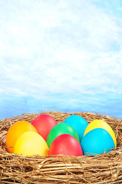 Αυγά χρώματος σε μια χρυσή φωλιά — Φωτογραφία Αρχείου