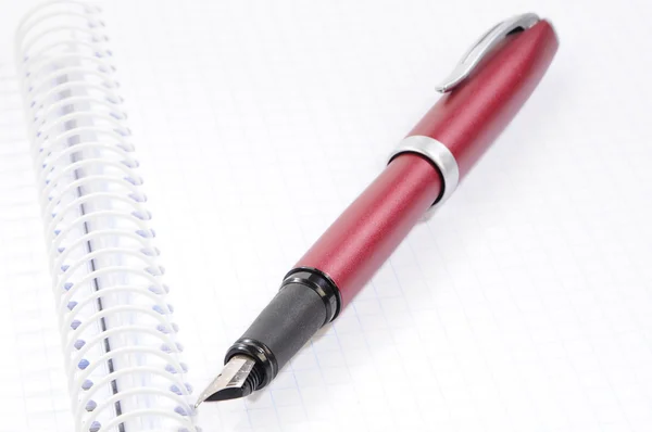 Красная чернильная ручка на ноутбуке — стоковое фото
