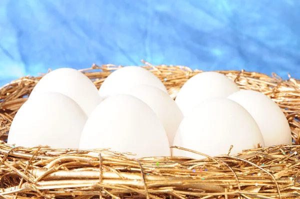 White eggs in golden nest Royalty Free Stock Images