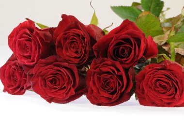 Red roses clipart