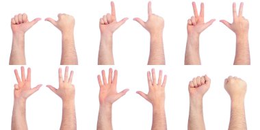 Male hands counting clipart