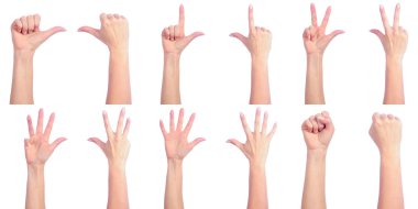 Female hands counting clipart