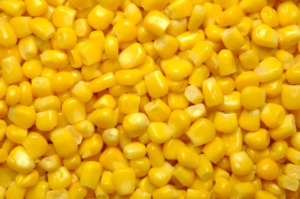 玉米罐头 免版税图库照片