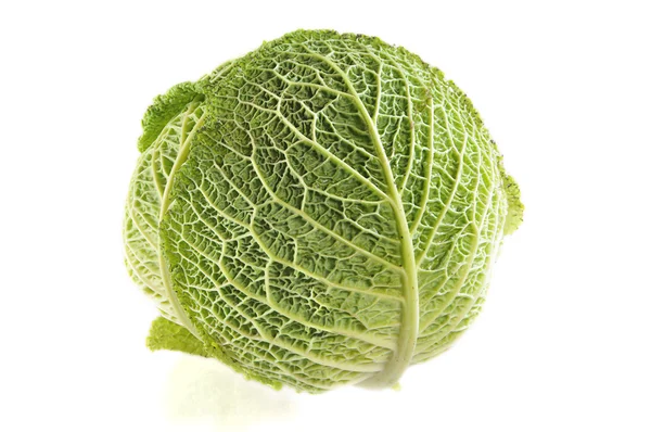 stock image Head cabbage