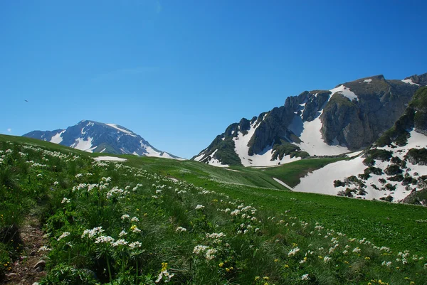 stock image Mountain landscape