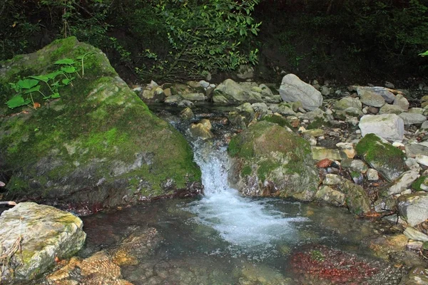 Purement propre ruisseau de montagne — Photo