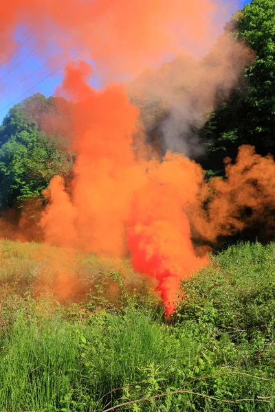 橙色烟雾在林间空地上 免版税图库图片