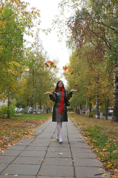 秋季步行 — 图库照片