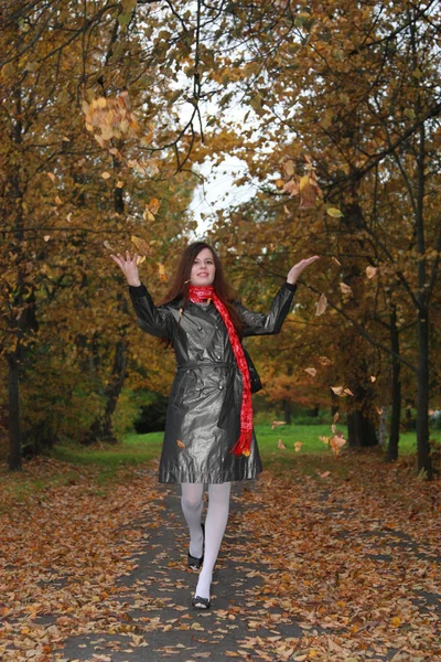 stock image Promenade