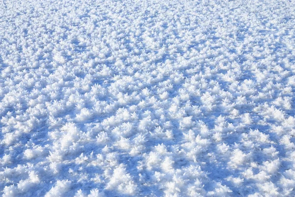 Mráz na zamrzlém jezeře — Stock fotografie