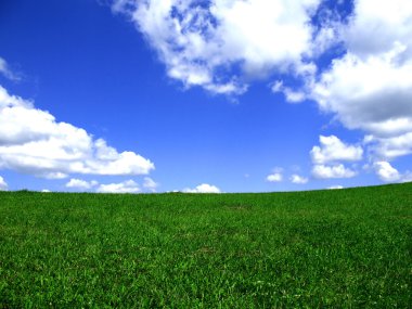 Blue sky and meadow background. clipart