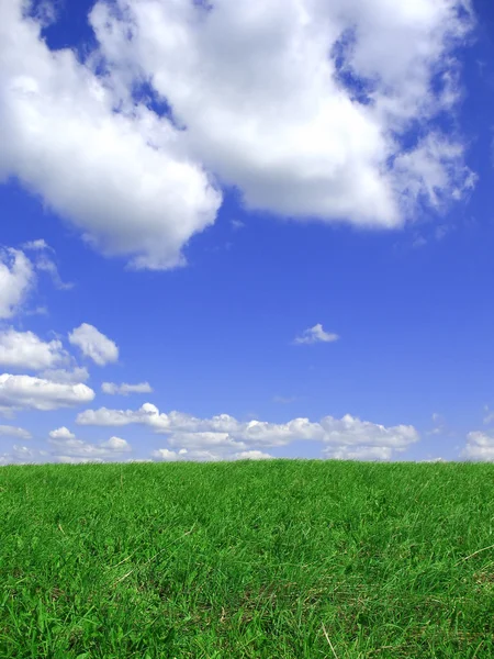 stock image Blue sky and meadow background.