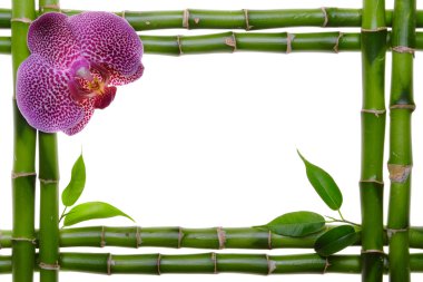 Bamboo frame clipart